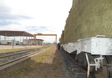 San Luis reactiv el tren hacia Baha Blanca