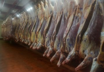 Las carnes bovinas quieren recuperar mercados