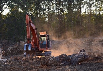 El consumo europeo promueve la deforestacin