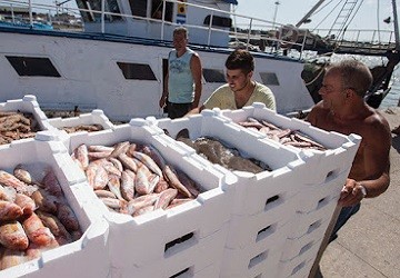 Para la OMC, es posible acordar sobre la pesca