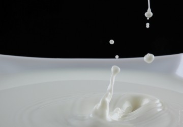El mercado global de lcteos seguir creciendo